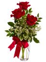 3 rose rosse